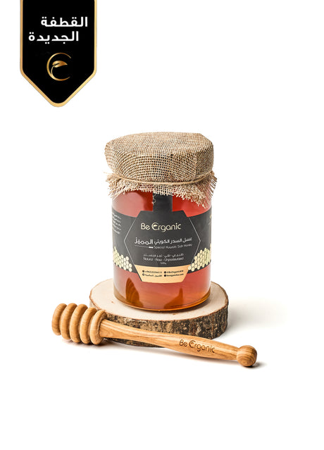 Kuwaiti Special Sidr Honey - 500g - Be Organic